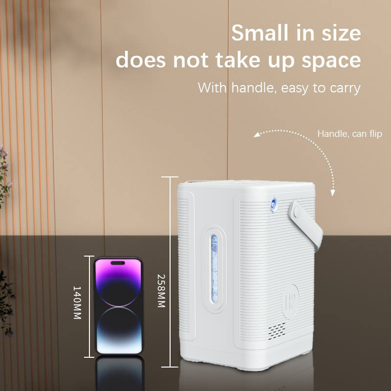 Dropshipping SPE PEM Hydrogen  - Health Wellness Home Care recension och pris
