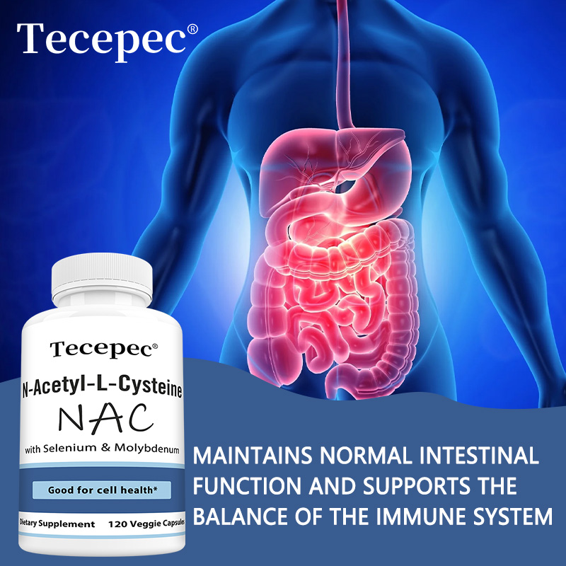NAC Capsules – Antioxidant, Su - Health Wellness Day recension och pris